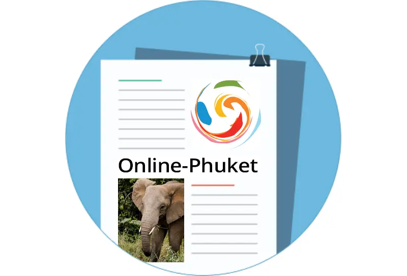 Prices for Tours & Activities in Phuket