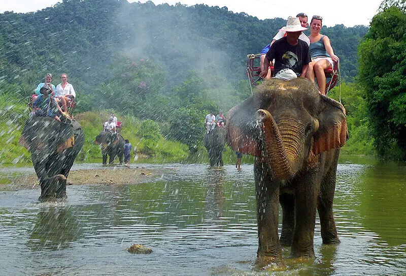 Elephant Sanctuary in Phuket & Elephant Trekking