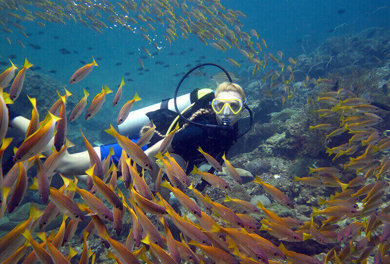 Scuba Diving in Phuket 1