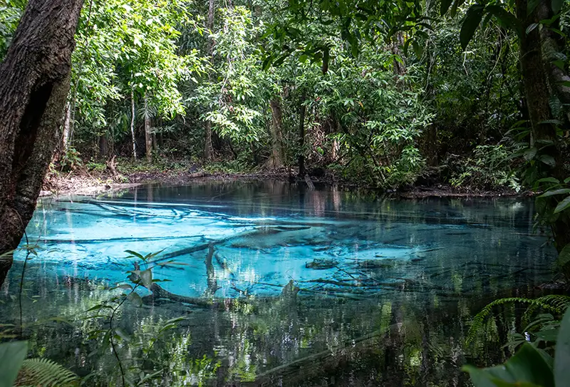 Tour to Krabi from Phuket and Khao Lak 1