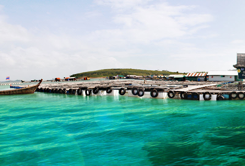 Pearl Farm Phuket
