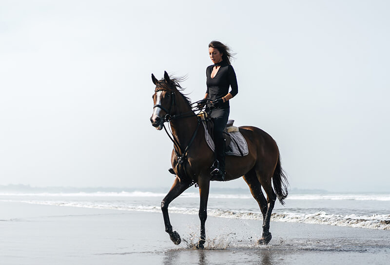 Horse Riding in Phuket 1