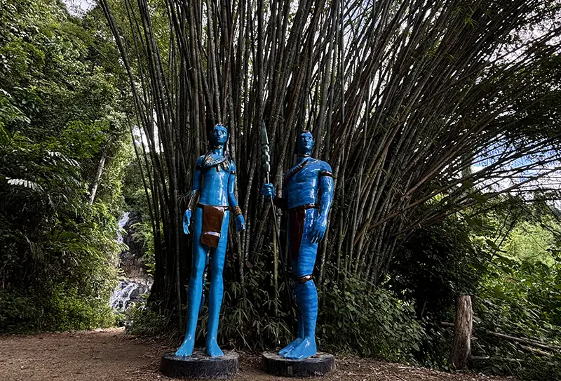 Avatar Tour from Phuket and Khao Lak 1