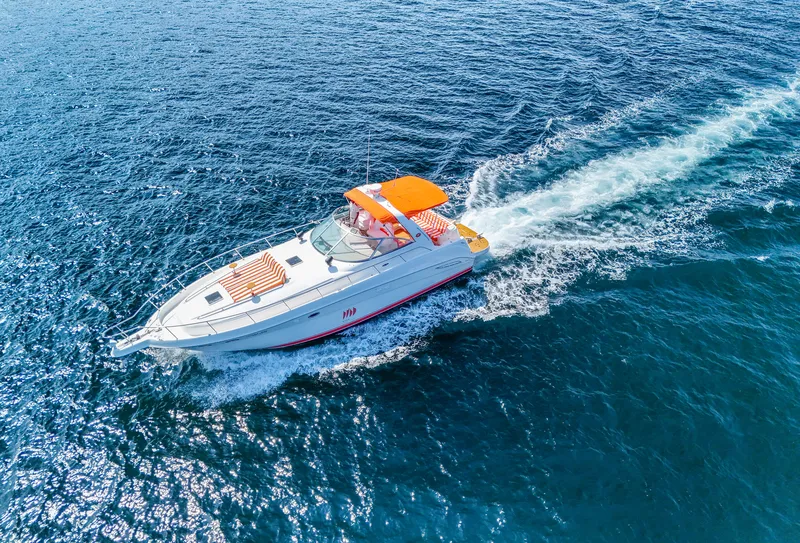 Sundancer Searay 46ft Yacht Cruises in Phuket 1